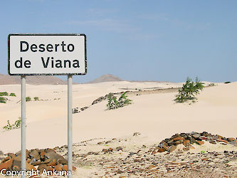 Deserto de Viana